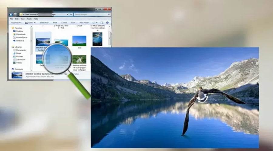 ما هو أفضل برنامج فتح الصور ويندوز 10؟